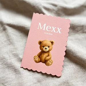 geboortekaartje meisje teddybeer